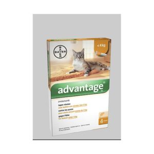 advantage-40-chat-4kg-4x04ml-550-550-99568.jpg Advantage Chat