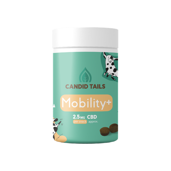 Candidtails CBD : Mobility + Pet Snacks avec CBDT, Chondroitin, MSM, Hypoallergenic 150gr