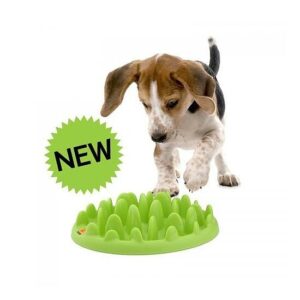 Vetopop Gamelle Anti-Glouton Green Chiot